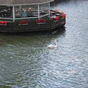 IMG_1414.JPG